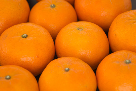 tangerines background
