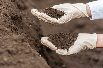 Close-up of a young researcher technician woman hands in greenhouse,in uniform, holding soil . Bio...