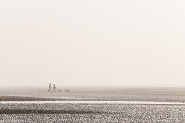 Obraz na płótnie Canvas Couple walking their dogs at the beach Plage de la Sirène Cap Gris Nez