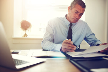 Mature businessman sitting at his desk looking through documents