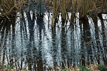 reflektions