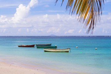 Naklejka na ściany i meble old fisherman boats moored near sandy beach on Mauritius island
