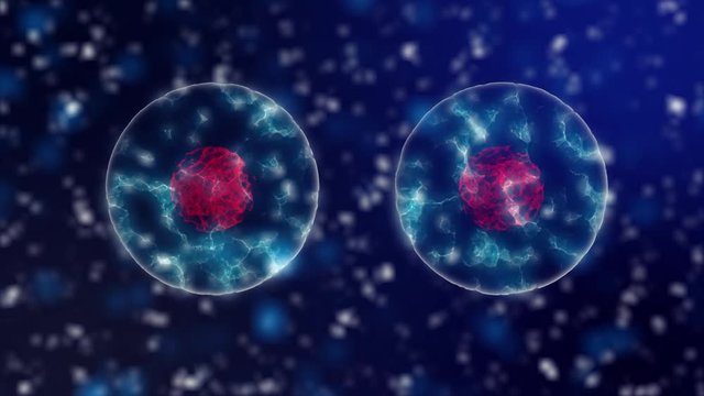 Cell division microbiology background with purple cell nucleus and blue neon cytoplasm under microscope. opular scientific background 4K seamless loop.