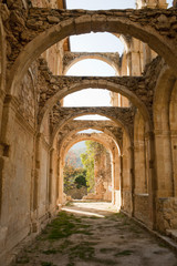 Fototapeta na wymiar Stone arcs in abandoned monastery de Rioseco.