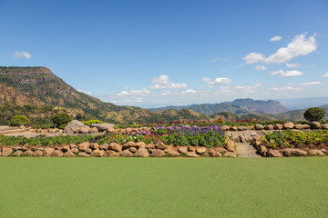 Resting place is artificial turf and flower garden.