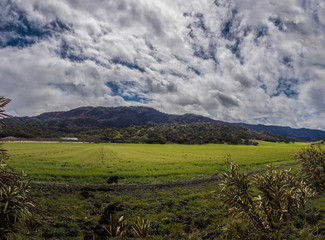 Obraz premium Green field of grass growing in the rural country under cloudy skies nestled against the mountains.