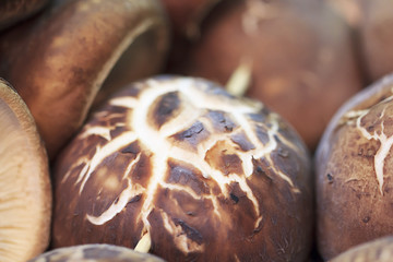 Fresh Shiitake mushroom close up in market © phatthanit