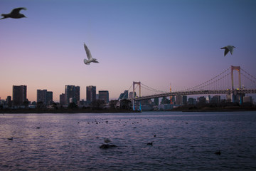 Fototapeta na wymiar Sunset in Tokyo
