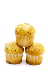 Lemon Poppyseed Muffins on a White Background