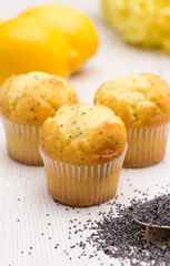 Lemon Poppyseed Muffins on a Distressed White Wooden Table