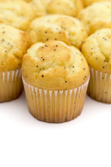 Lemon Poppyseed Muffins on a White Background