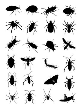 Bugs silhouette. Good use for symbol, logo, web icon, mascot, sign, or any design you want.