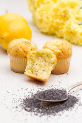 Lemon Poppyseed Muffins on a Distressed White Wooden Table