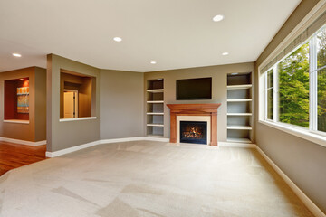 Brown living room interior with fireplace and bookshelves.