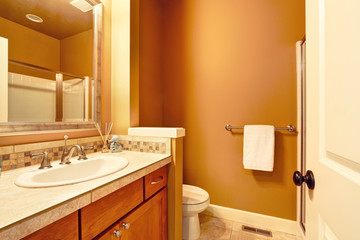 Brown and orange bathroom interior