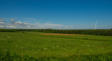 Fototapeta na wymiar Rural field of wind turbine at Prince Edward Island