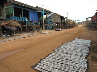 Street view, fish drying, Kampong Khleang, Cambodia