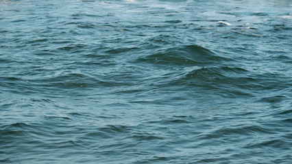 Beach background / A beach is a land alongside a body of water which consists of loose particles. The particles composing a beach are typically made from rock, such as sand, gravel, shingle, pebbles