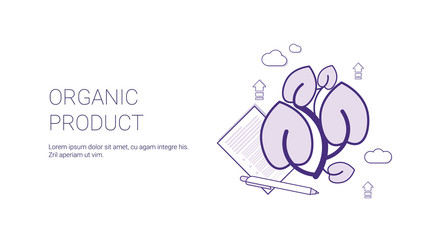 Organic Product Eco Food Concept Template Web Banner With Copy Space Vector Illustration