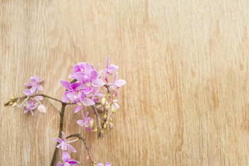 Fototapeta na wymiar Purple orchid flowers on a wooden table. Space for text