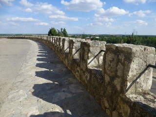 Fototapeta premium Tordesillas,localidad de la provincia de Valladolid en la comunidad autónoma de Castilla y León (España)