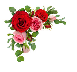 Obraz premium Czerwone i różowe kwiaty róży z liśćmi eukaliptusa w układzie narożnym