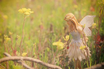 image of magical little fairy in the forest.