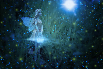 image of magical little fairy in the night forest.