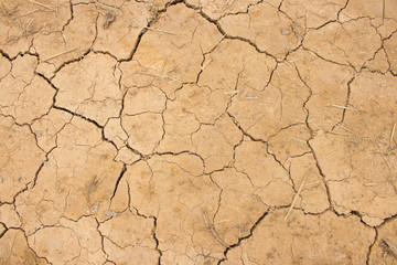Arid soil background. Desert scene, located in northern of Thailand.