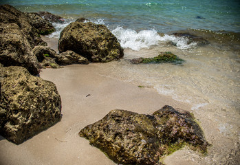 Rocky Shore Miami Beach 