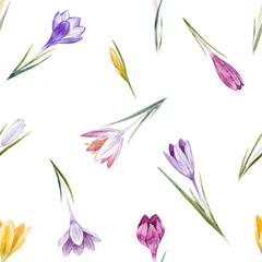Fototapeta na wymiar Watercolor crocus floral pattern