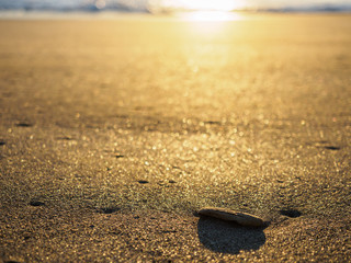 Fototapeta na wymiar 光る砂浜と木片（4：3）
