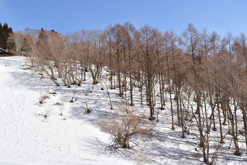 雪山
