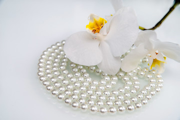     pearl and white orchid on a white glass 