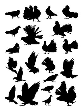 Pigeons silhouette. Good use for symbol, logo, web icon, mascot, sign, or any design you want.