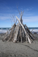 Driftwood Sculpture