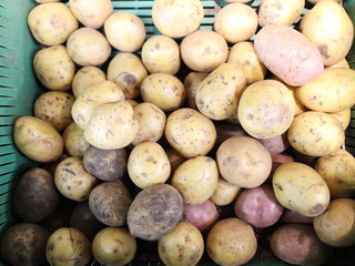 potatoes close-up in a box