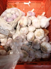 garlic close-up in a box