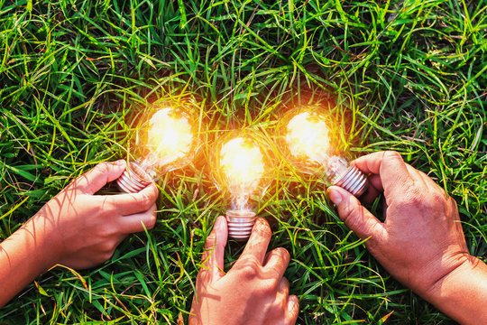 group hand holding lightbulb with sunset on grass. concept idea solar energy
