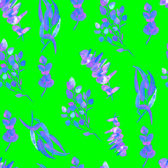 Fototapeta na wymiar Eucalyptus Greenery Leaves Seamless Pattern.