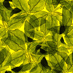 Basil Leafs Seamless Pattern. Repeatably Hand Drawn Background with Spice Herb and Basil.