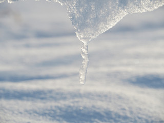 Obraz na płótnie Canvas 雪原の風景