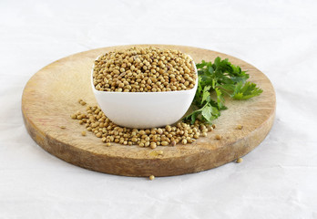 Coriander seeds in a bowl, and spilled seeds, on a wooden table on a crumpled paper. The background has a bunch of fresh and organic coriander leaves.