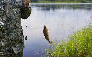 The fish caught on a feeder. The fisherman is holding a tackle with a catch in his hand. The...