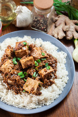 Mapo Tofu - sichuan spicy dish served with rice