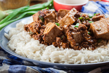 Mapo Tofu - sichuan spicy dish served with rice