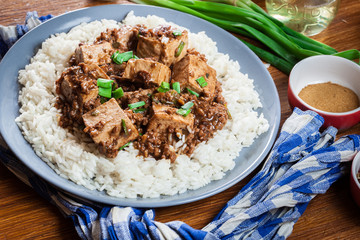 Mapo Tofu - sichuan spicy dish served with rice