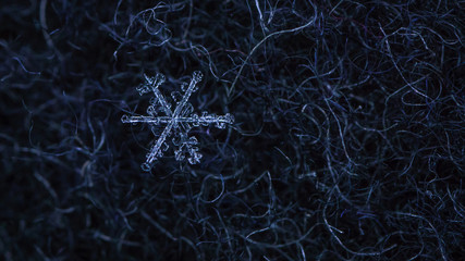 Beautiful detail of a snowflake, a single ice crystal in Paris winter, falls through the Earth's atmosphere as snow. Shining hexagonal crystals shape, used as a symbol of snow or crystal in science