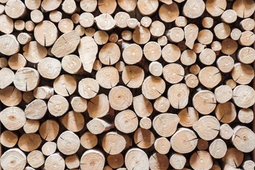 Möbelaufkleber Trockener Holzstumpfhintergrund und -beschaffenheit. © AePatt Journey