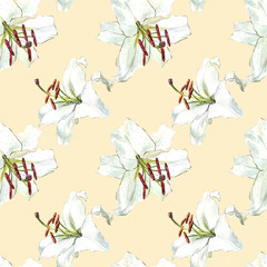 Seamless floral pattern. Watercolor white lilies, hand drawn botanical illustration of flowers.
